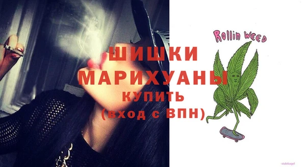 прущий лед Богородицк