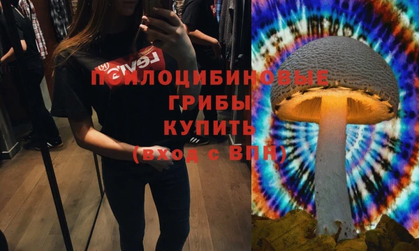 наркотики Бородино