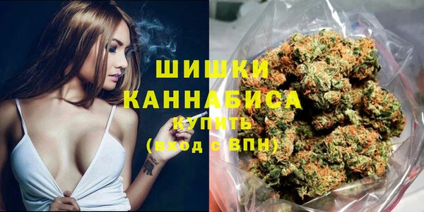 прущий лед Богородицк
