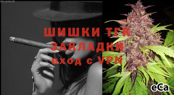 ПСИЛОЦИБИНОВЫЕ ГРИБЫ Богданович