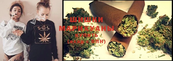 прущие грибы Бронницы
