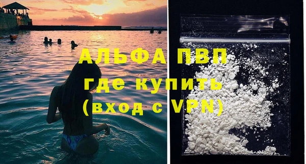 прущие грибы Бронницы